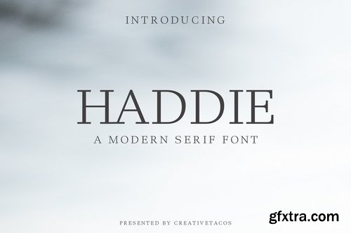 CM - Haddie Modern Serif Font Family 354319