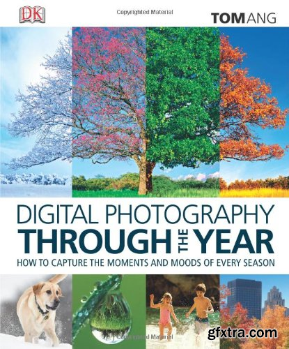 Digital Photography Through the Year