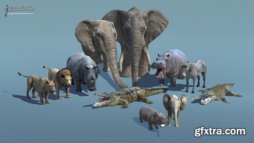 African Animal Pack 1