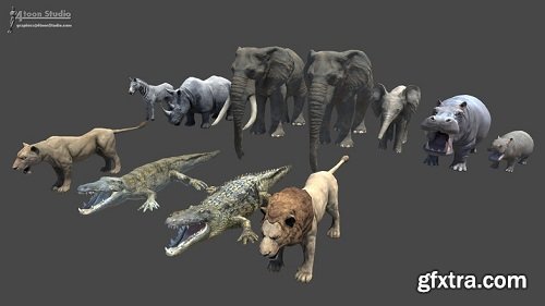 African Animal Pack 1