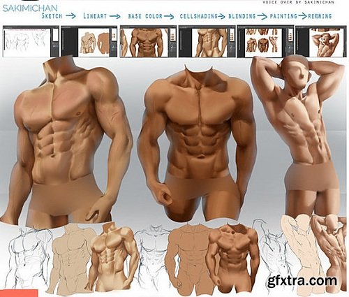 Dynamic Male Torso Guide