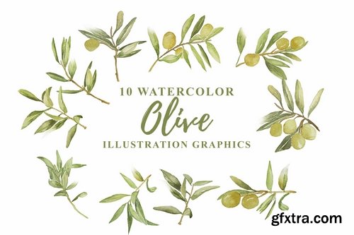 10 Watercolor Olive Illustration Graphics