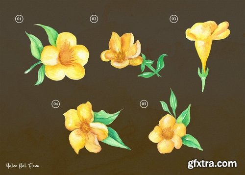 15 Watercolor Yellow bell Flower Illustration