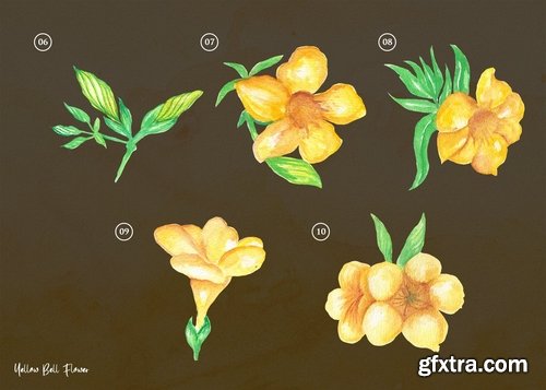 15 Watercolor Yellow bell Flower Illustration