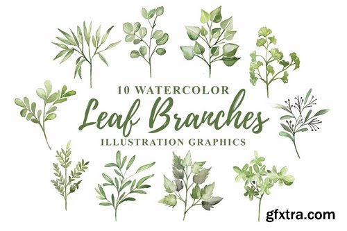 10 Watercolor Leaf Branches Illustration Graphics