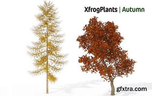 XfrogPlants - AUTUMN