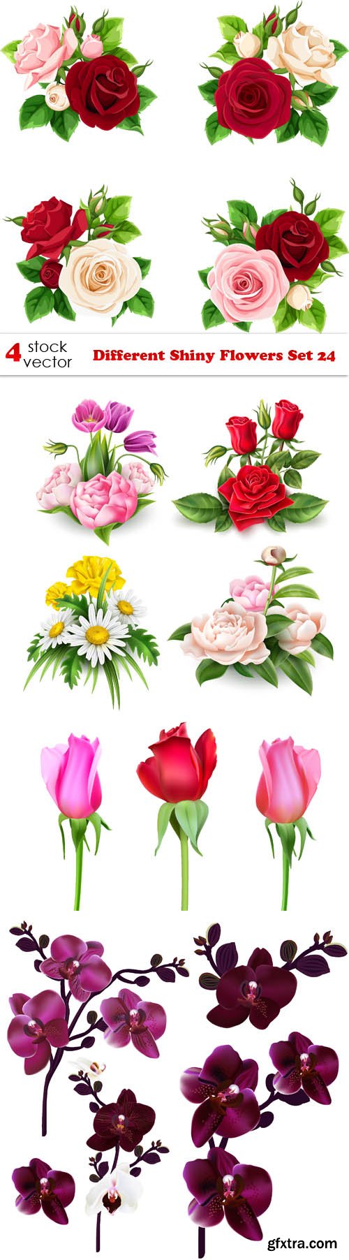 Vectors - Different Shiny Flowers Set 24