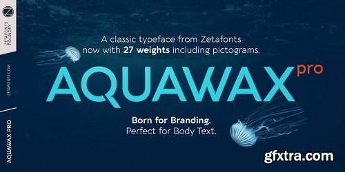 Aquawax Pro Font Family - 27 Fonts