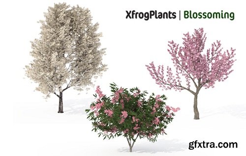 XfrogPlants - Blossoming