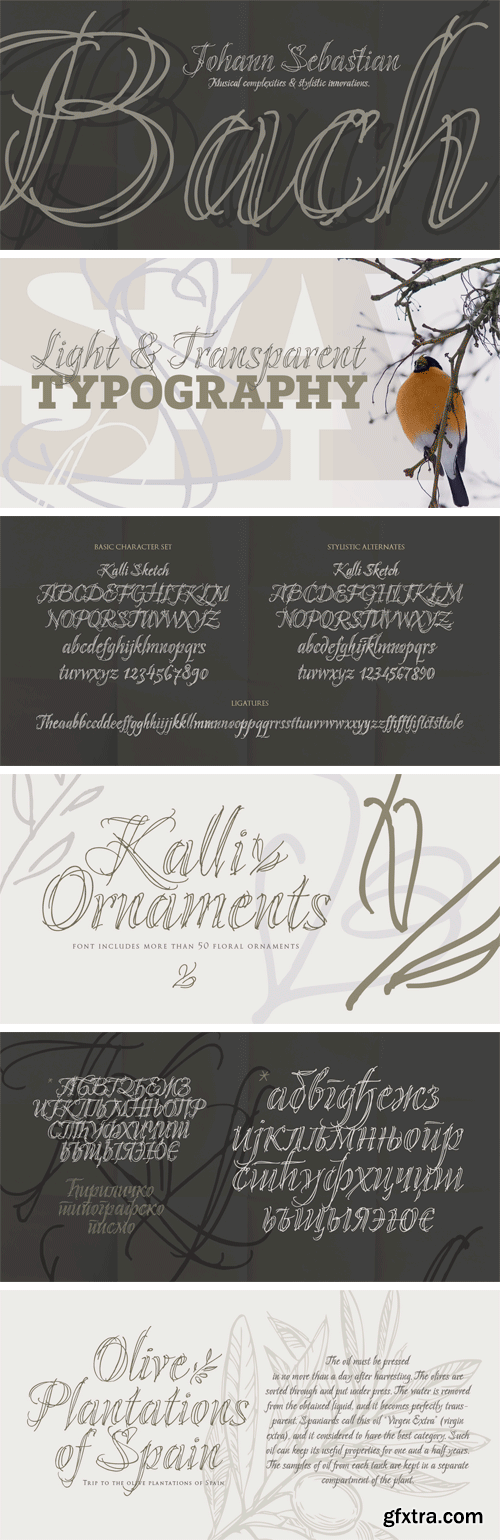 Kalli Sketch Font