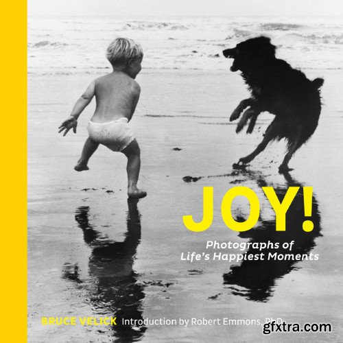 Joy!: Photographs of Life\'s Happiest Moments