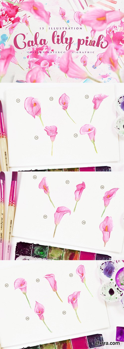 15 Watercolor Cala Lily Pink Flower Illustration