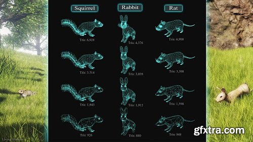 Small Animal Behavior Pack: Rabbit, Squirrel, Rat