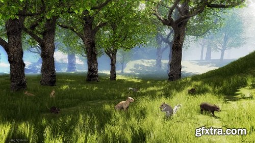 Small Animal Behavior Pack: Rabbit, Squirrel, Rat