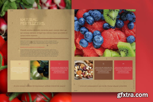 Organic Food Brochure