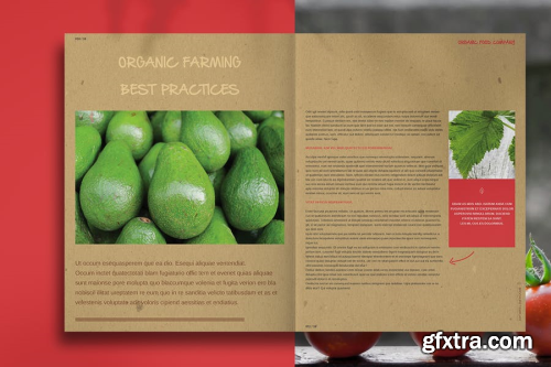 Organic Food Brochure