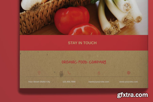 Organic Food Brochure