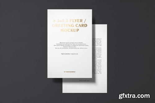 5.5x8.5 Flyer / Postcard / Greeting Card Mockup