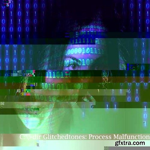 Glitchedtones Process Malfunction WAV