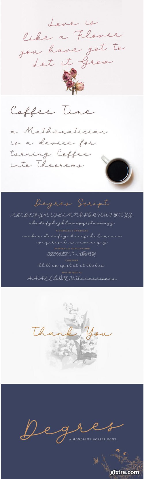 Degres Script Font