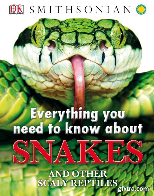 Everything You Need to Know About Snakes