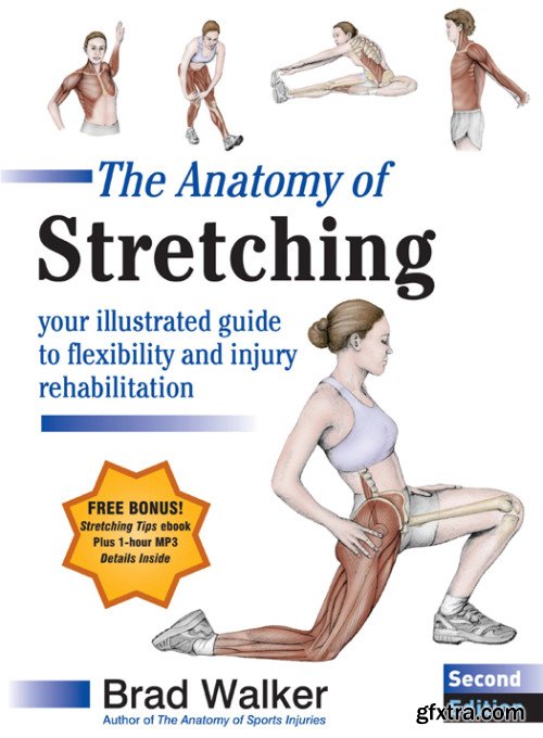 The Anatomy of Stretching: Your Illustrated Guide to Flexibility and Injury Rehabilitation, 2nd Edition