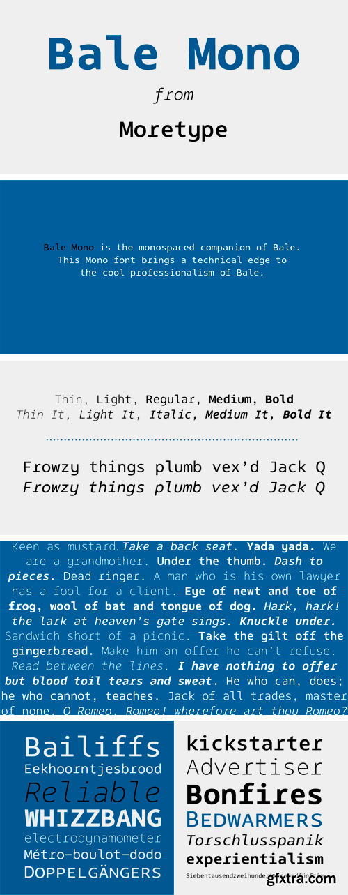 Bale Mono Font Family