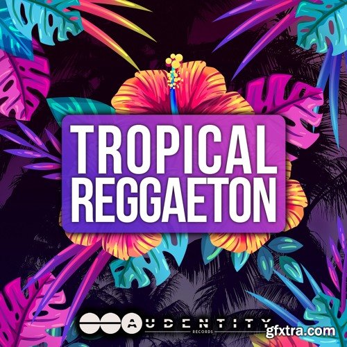 Audentity Records Tropical Reggaeton WAV MiDi VSTi PRESETS-DISCOVER