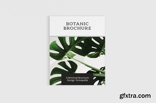 Botanics - A4 Botanical Brochure Template