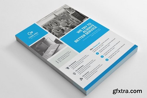 Business Flyer Template 27