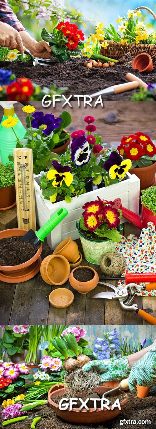 Spring gardening of agriculture planting of flowers