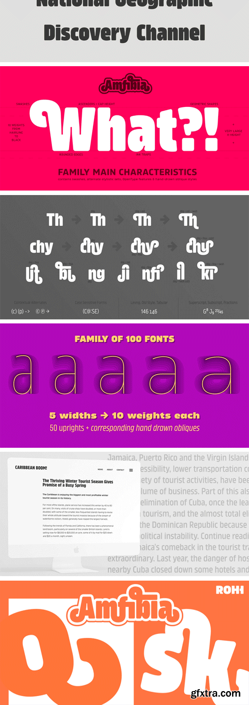 Amfibia Font Family