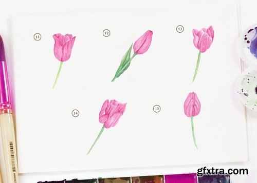 15 Watercolor Pink Tulip Flower Illustration