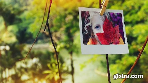 Videohive Tree of Life Photo Gallery 15795143