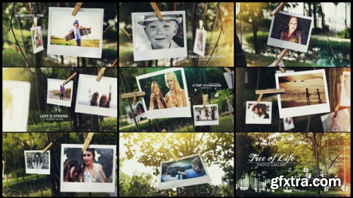 Videohive Tree of Life Photo Gallery 15795143