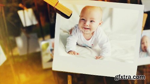 Videohive Tree of Life Photo Gallery 15795143