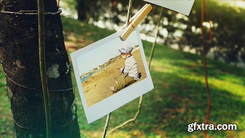 Videohive Tree of Life Photo Gallery 15795143