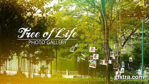 Videohive Tree of Life Photo Gallery 15795143