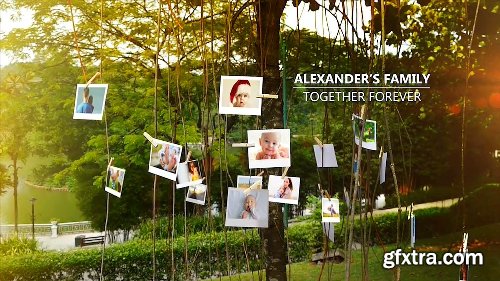 Videohive Tree of Life Photo Gallery 15795143