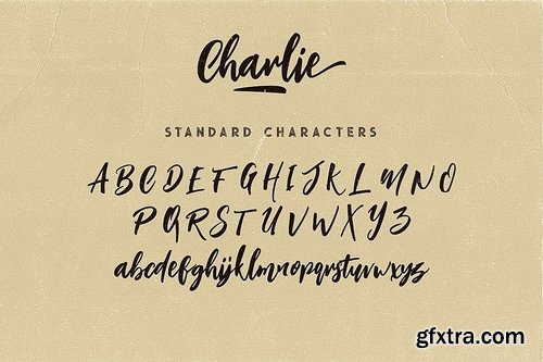 CM - Charlie Script Font 3607864