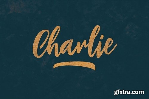 CM - Charlie Script Font 3607864