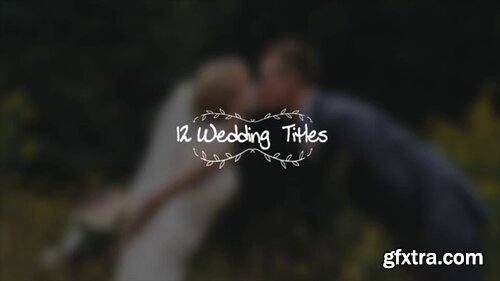 Pond5 - Wedding Titles Vol2 - 63068968