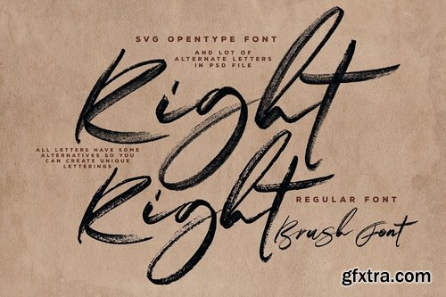 CM - Right Brush & SVG Font 3561540