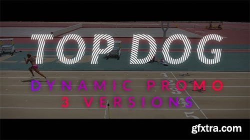 Videohive TOP DOG Dynamic Opener 19209699