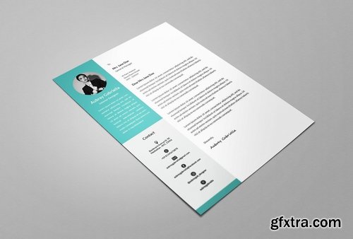 02 Designer Resume