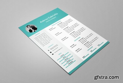 02 Designer Resume