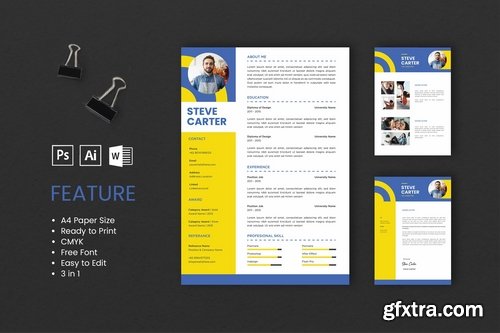 Professional CV And Resume Templates