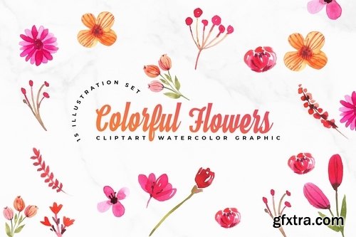 Watercolor Flowers Set Illustration