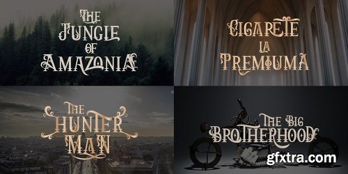 Arthouse Display Pro Font Family - 3 Fonts