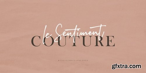 Stylish Classy Font Family - 2 Fonts